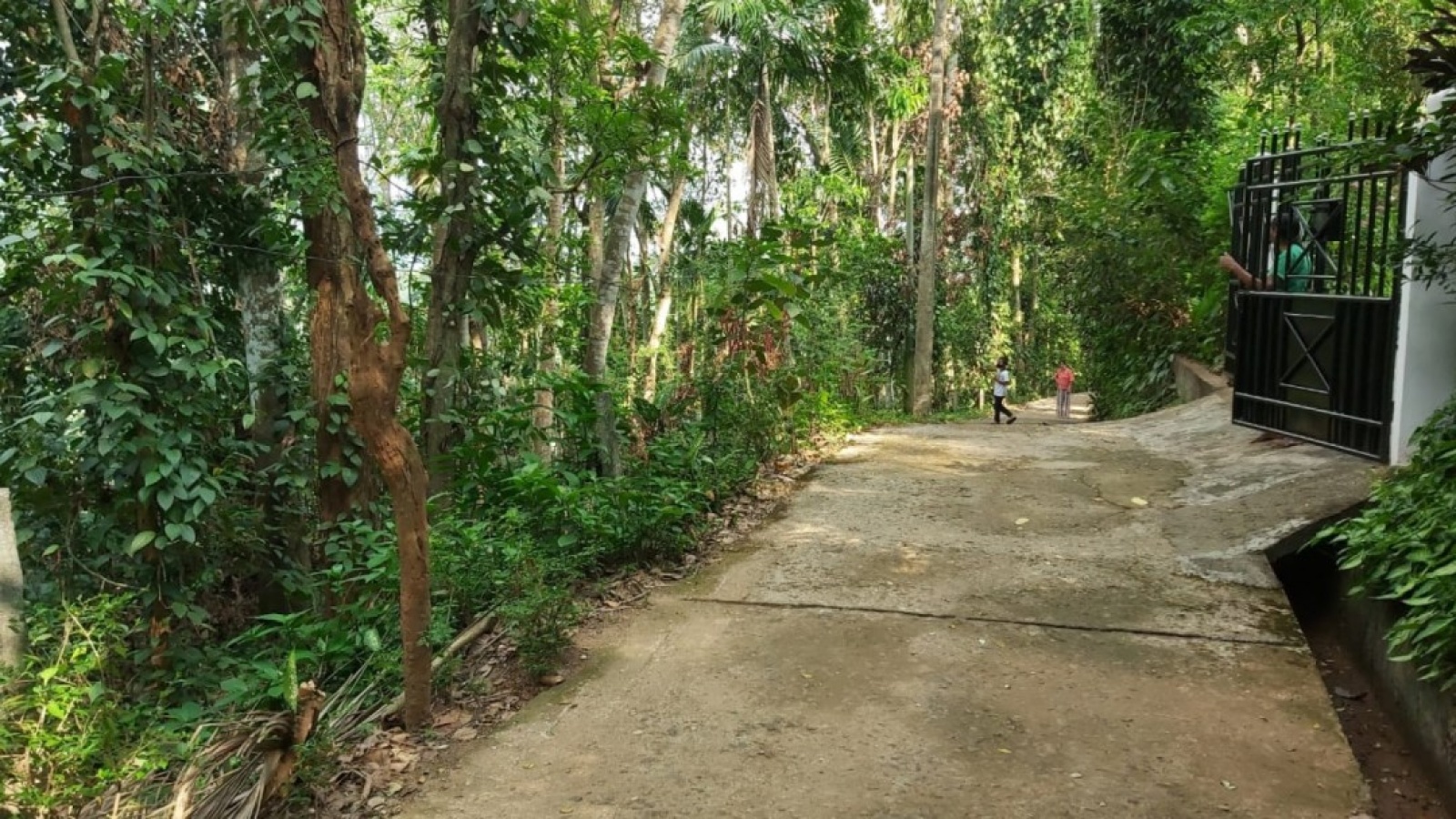 Gelioya, Kandy, ,Land,For sale,1102