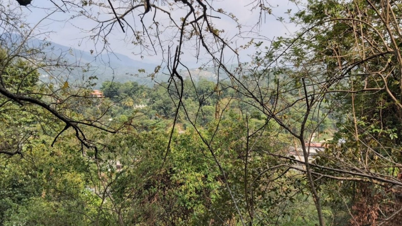 Gelioya, Kandy, ,Land,For sale,1102