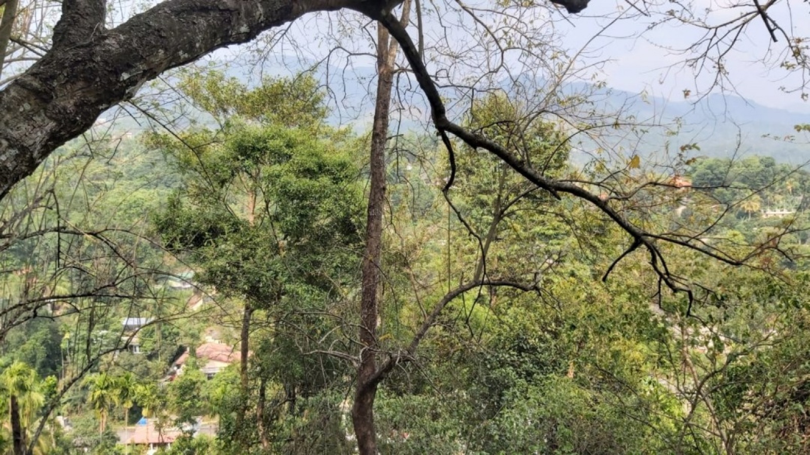Gelioya, Kandy, ,Land,For sale,1102