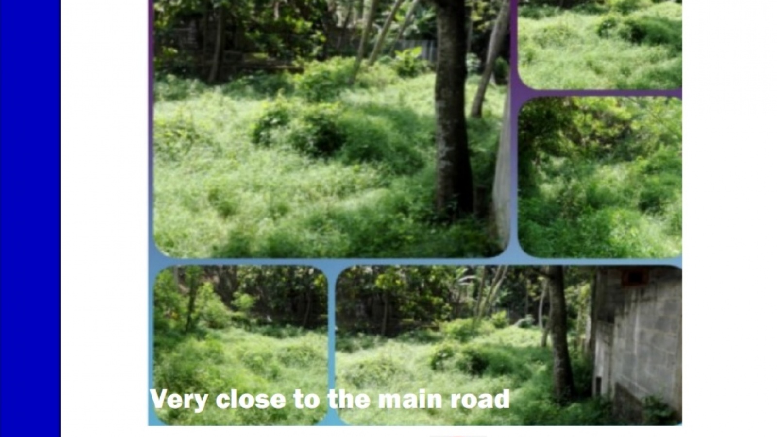 Gurudeniya, Kandy, ,Land,For sale,1104