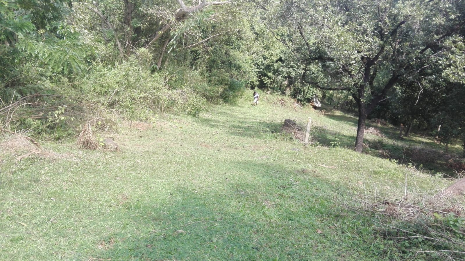 Maligathenna, Haragama, Haragama, Kandy 20189, ,Land,For sale,Maligathenna, Haragama,1128