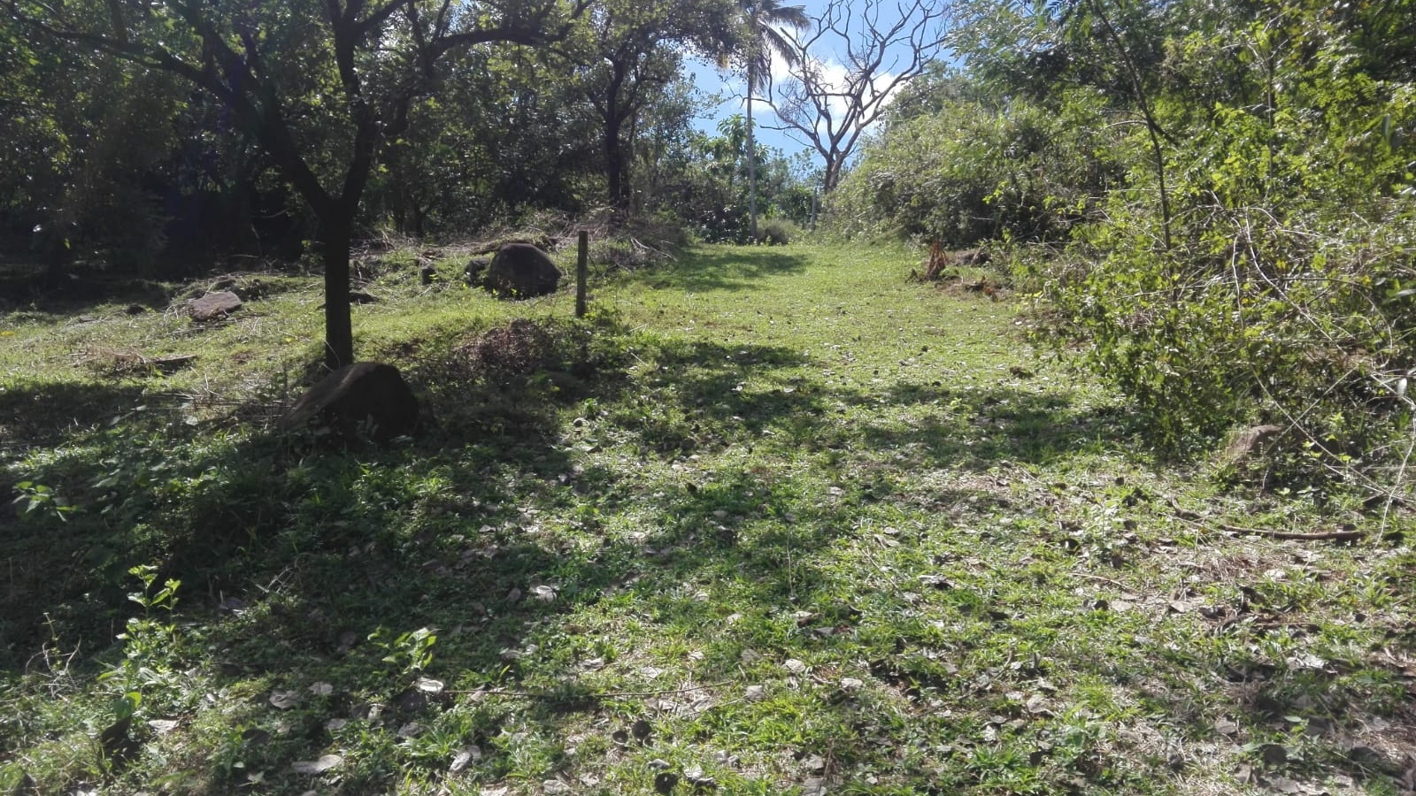 Maligathenna, Haragama, Haragama, Kandy 20189, ,Land,For sale,Maligathenna, Haragama,1128