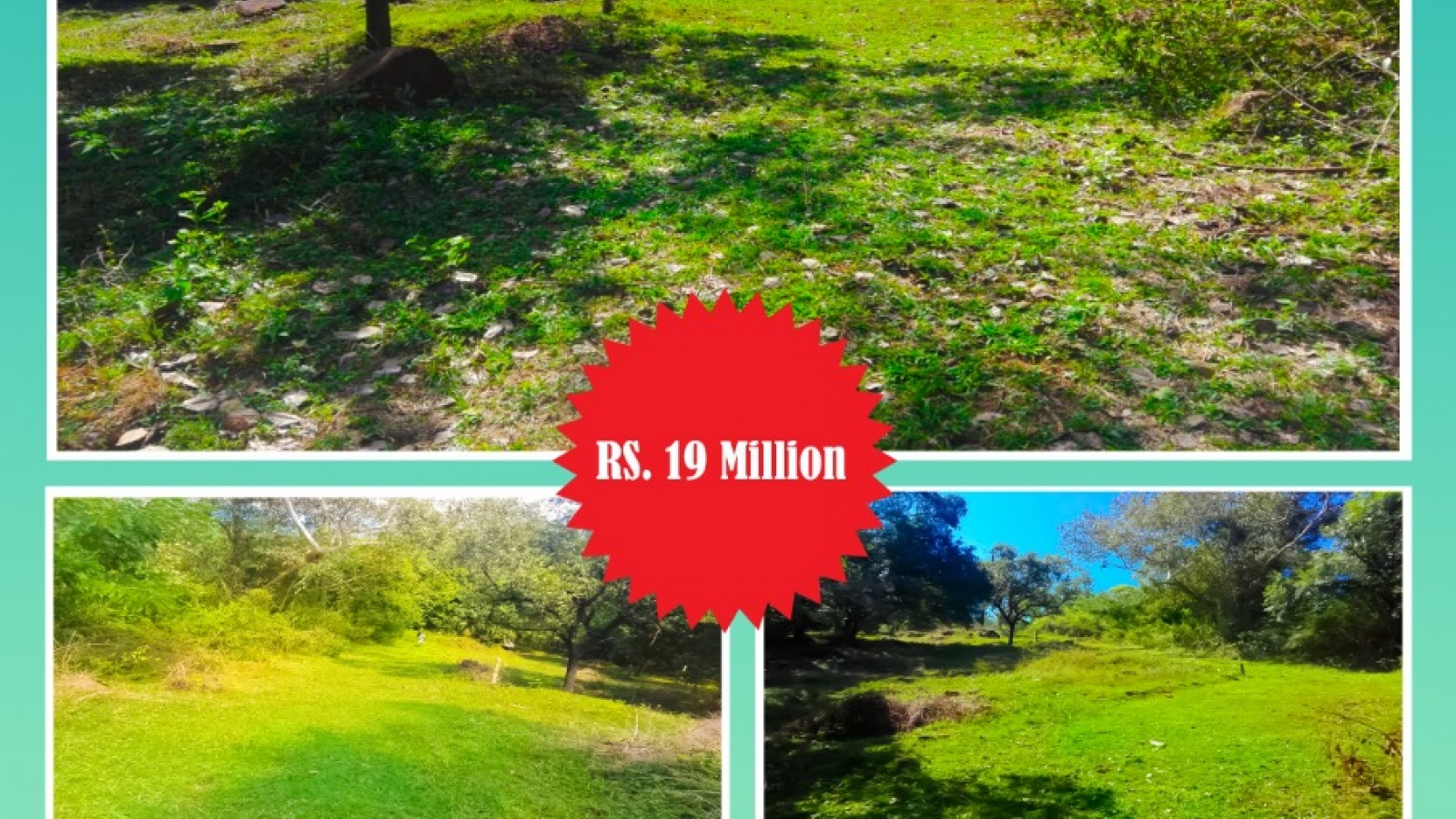 Maligathenna, Haragama, Haragama, Kandy 20189, ,Land,For sale,Maligathenna, Haragama,1128