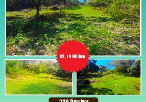 Maligathenna, Haragama, Haragama, Kandy 20189, ,Land,For sale,Maligathenna, Haragama,1128