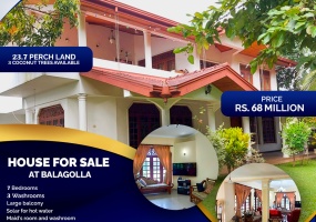 Balagolla, Kandy 20186, ,House,For sale,1143