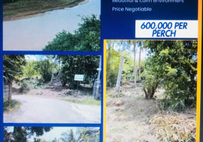 Mahaweli Breez, kandy, Kandy 20000, ,Land,For sale,Mahaweli Breez,1166