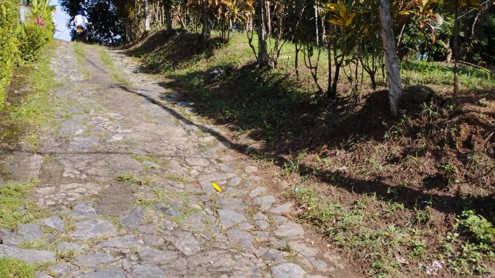 555/2 Gohagoda road, kandy, Kandy 22000, ,Land,For sale,Gohagoda road,1171