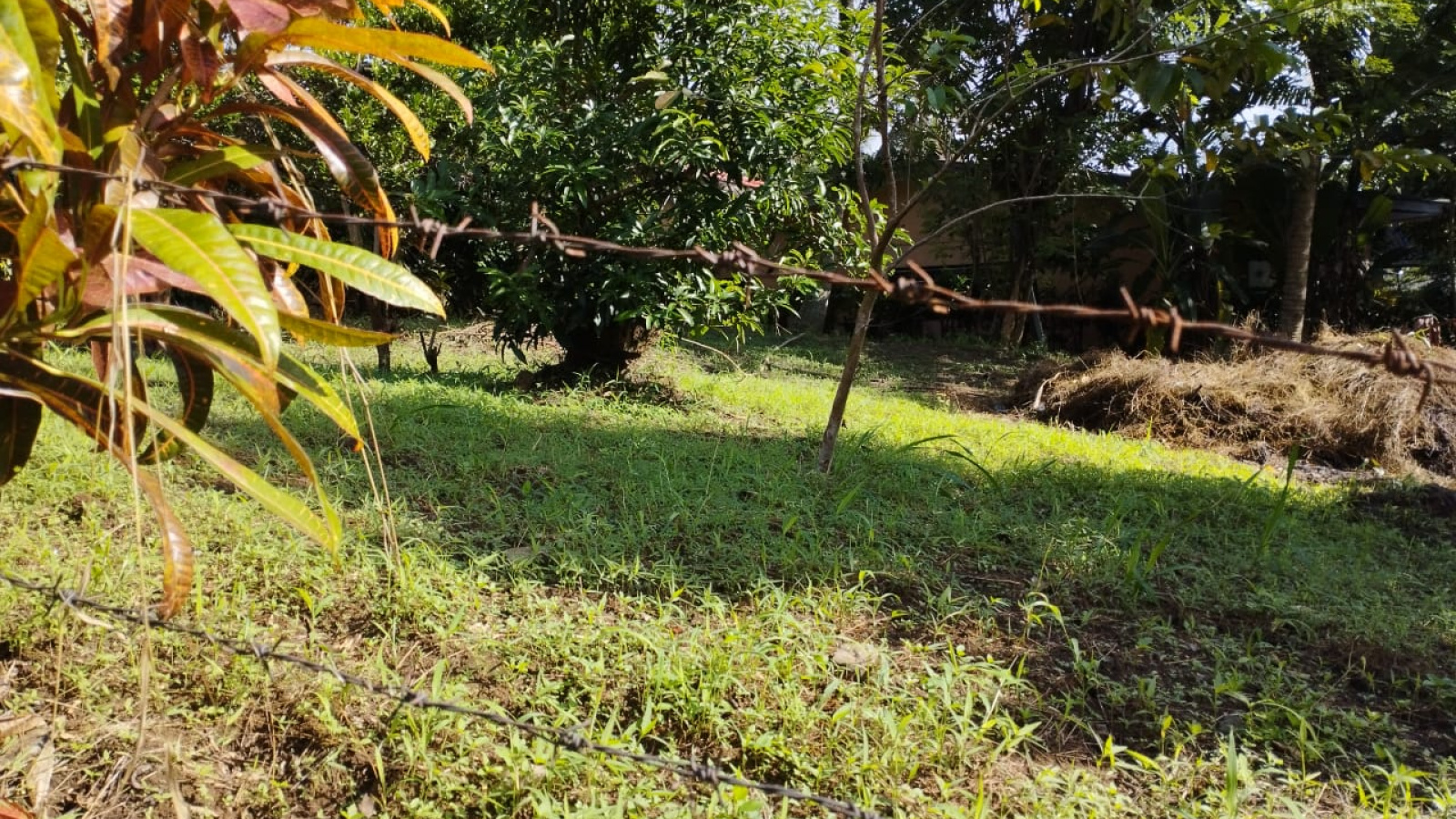 555/2 Gohagoda road, kandy, Kandy 22000, ,Land,For sale,Gohagoda road,1171