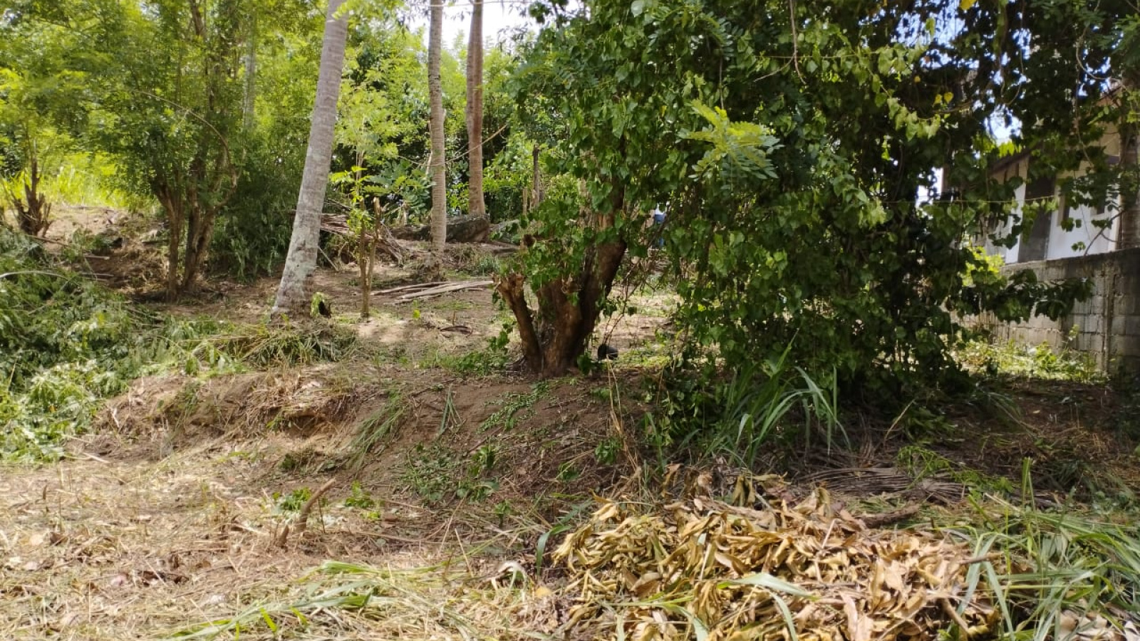 Gurudeniya Road, Gurudeniya, Kandy 22000, ,Land,For sale,Gurudeniya Road,1172