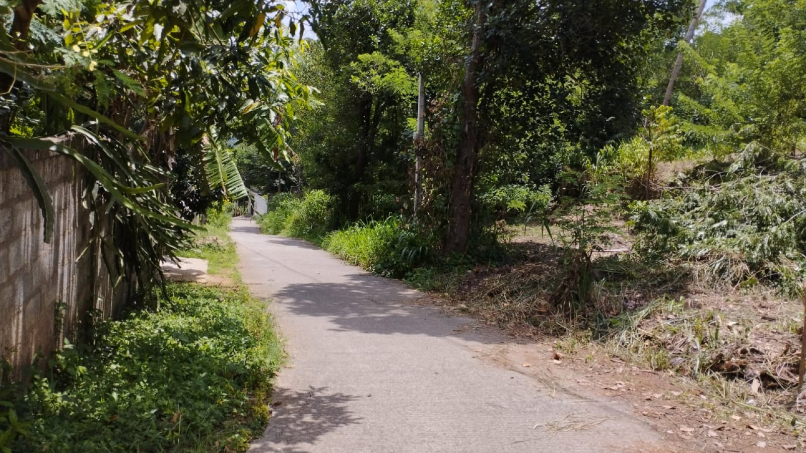 Gurudeniya Road, Gurudeniya, Kandy 22000, ,Land,For sale,Gurudeniya Road,1172