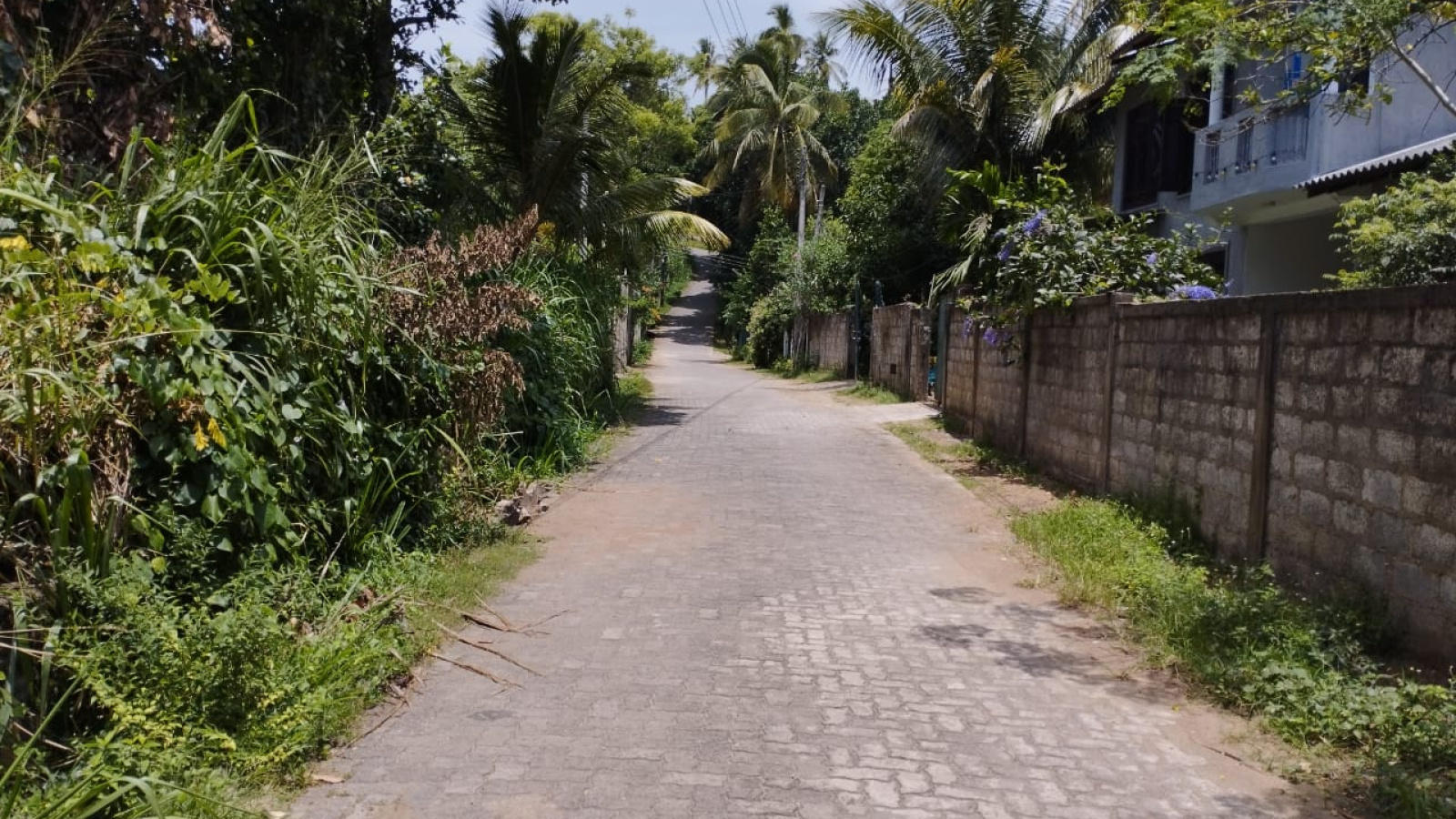 Gurudeniya Road, Gurudeniya, Kandy 22000, ,Land,For sale,Gurudeniya Road,1172