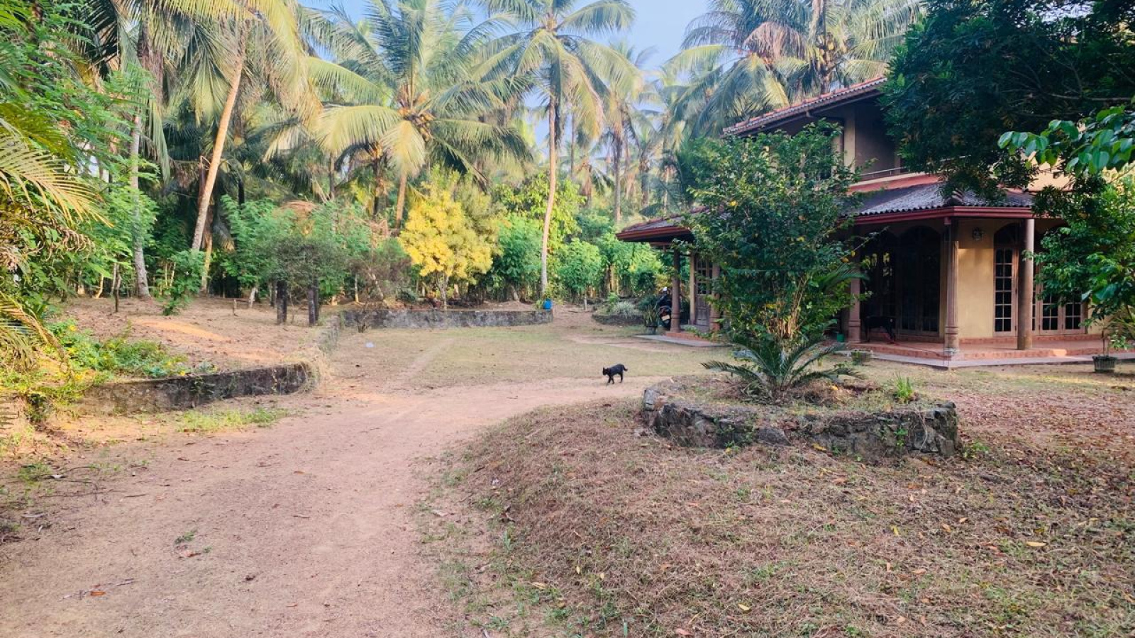 Colombo Road Dompe- Colombo main road, Dompe, Colombo 11680, ,Land,For sale,Dompe- Colombo main road,1177