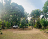 Colombo Road Dompe- Colombo main road, Dompe, Colombo 11680, ,Land,For sale,Dompe- Colombo main road,1177