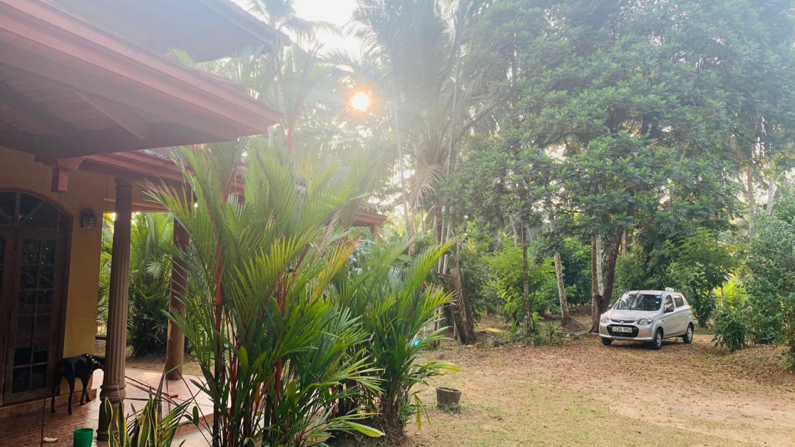 Colombo Road Dompe- Colombo main road, Dompe, Colombo 11680, ,Land,For sale,Dompe- Colombo main road,1177