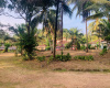 Colombo Road Dompe- Colombo main road, Dompe, Colombo 11680, ,Land,For sale,Dompe- Colombo main road,1177