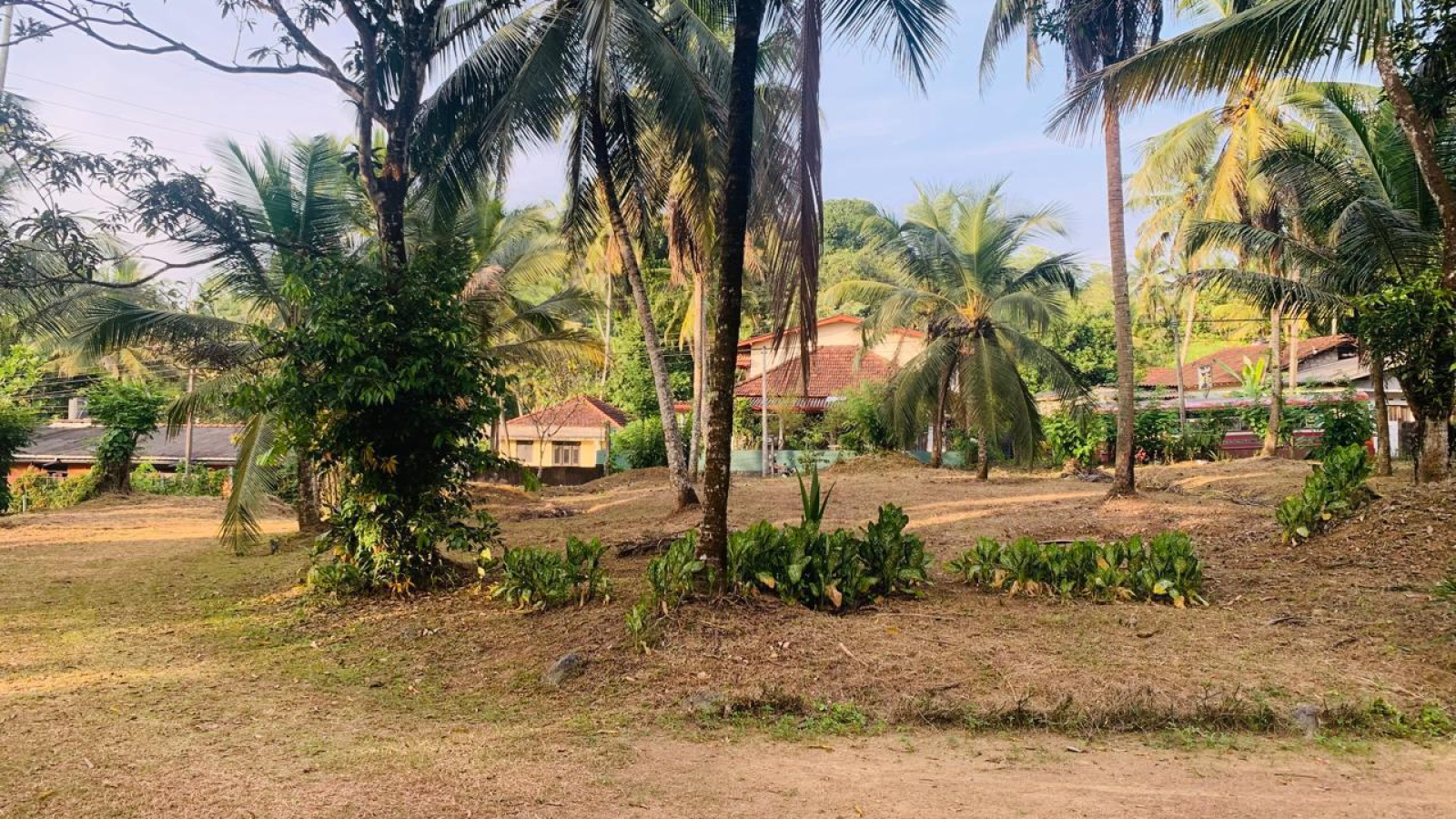 Colombo Road Dompe- Colombo main road, Dompe, Colombo 11680, ,Land,For sale,Dompe- Colombo main road,1177