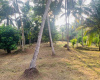 Colombo Road Dompe- Colombo main road, Dompe, Colombo 11680, ,Land,For sale,Dompe- Colombo main road,1177