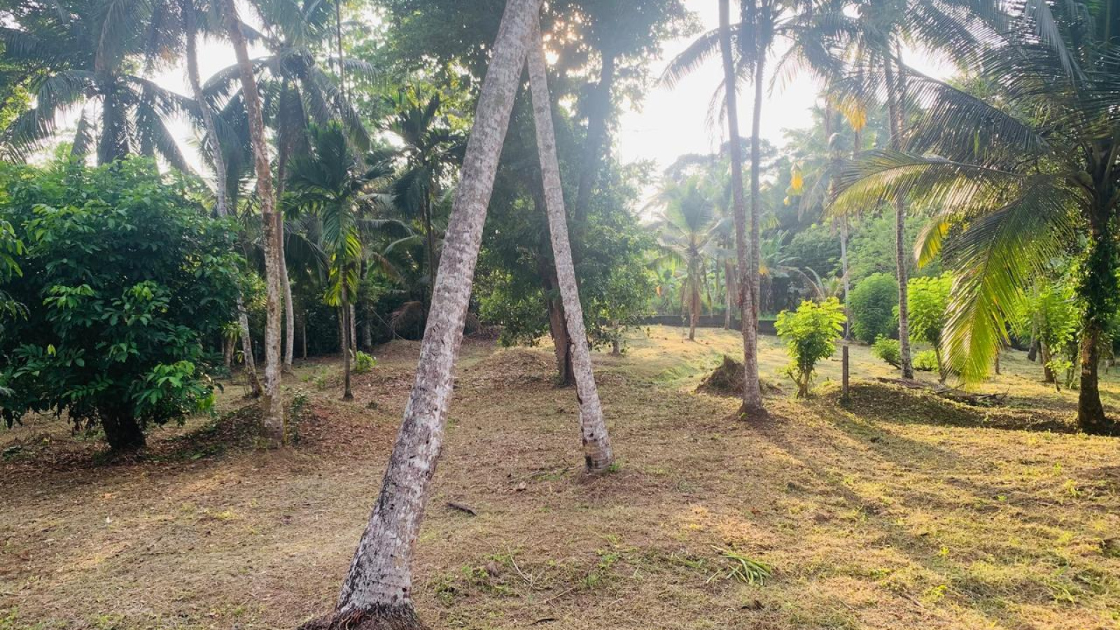 Colombo Road Dompe- Colombo main road, Dompe, Colombo 11680, ,Land,For sale,Dompe- Colombo main road,1177