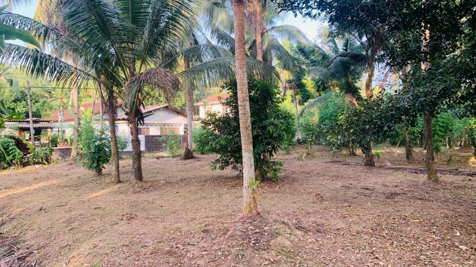 Colombo Road Dompe- Colombo main road, Dompe, Colombo 11680, ,Land,For sale,Dompe- Colombo main road,1177