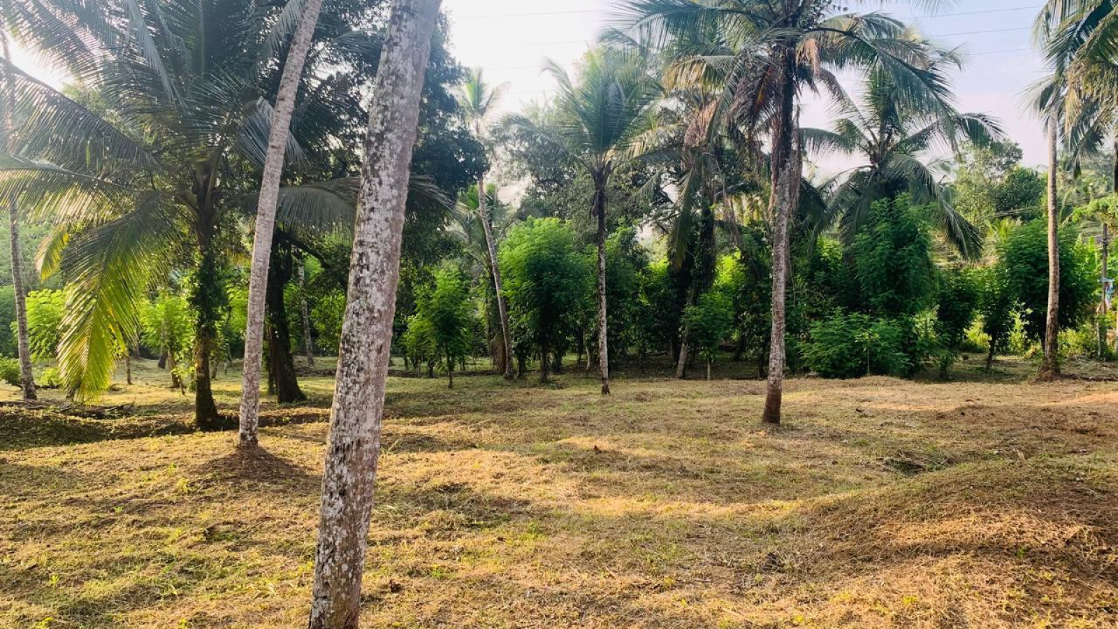 Colombo Road Dompe- Colombo main road, Dompe, Colombo 11680, ,Land,For sale,Dompe- Colombo main road,1177