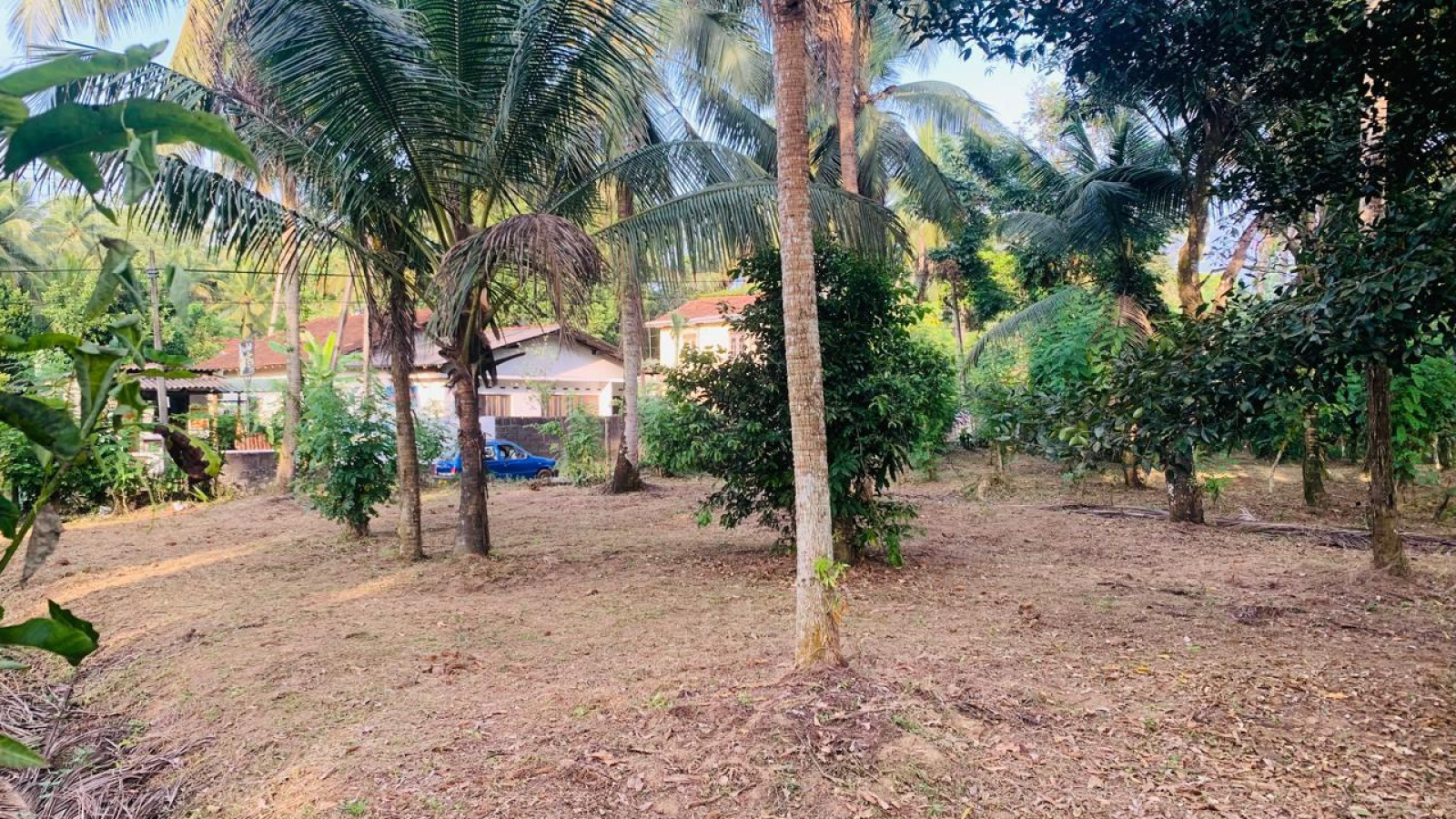 Colombo Road Dompe- Colombo main road, Dompe, Colombo 11680, ,Land,For sale,Dompe- Colombo main road,1177
