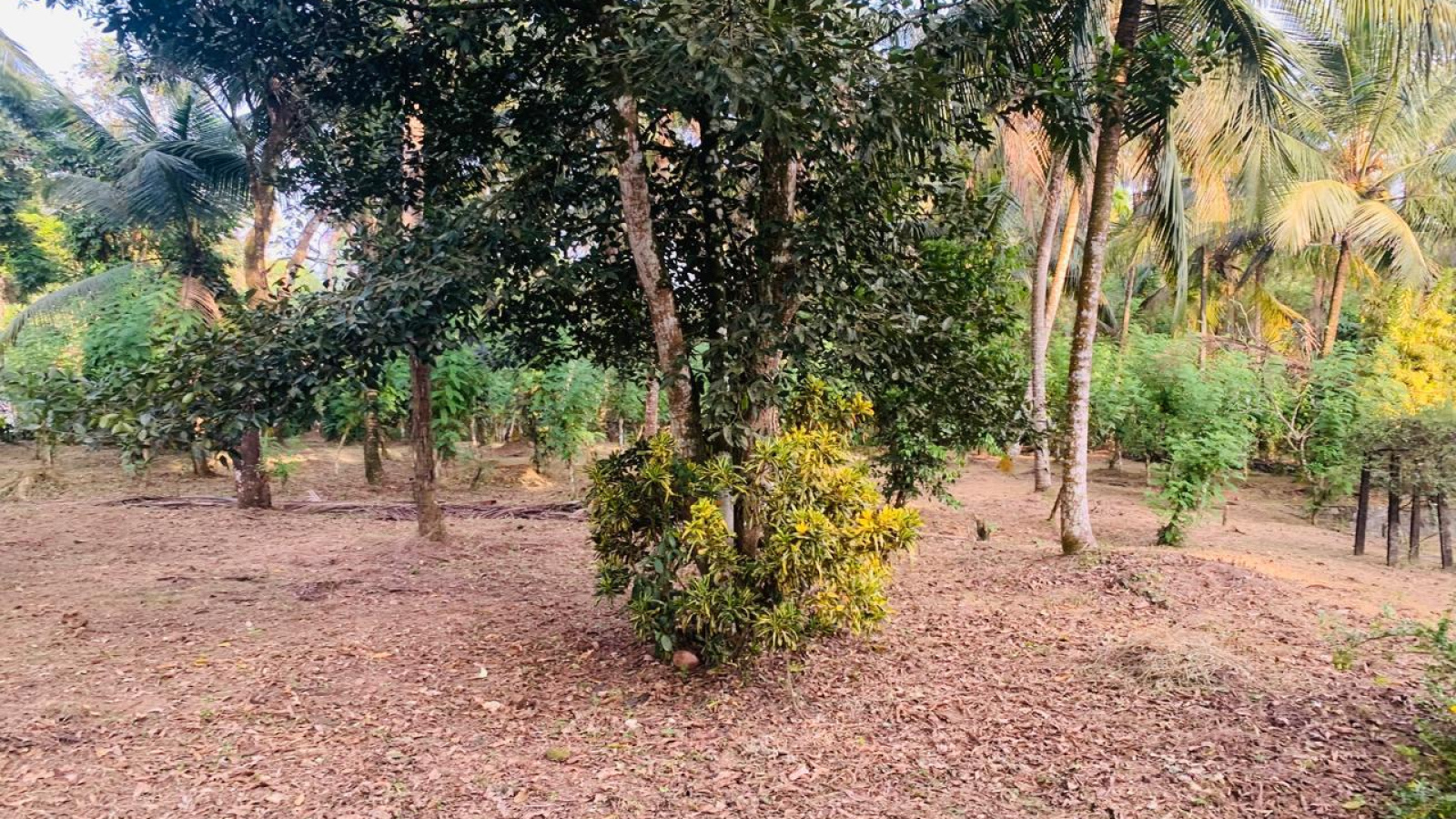 Colombo Road Dompe- Colombo main road, Dompe, Colombo 11680, ,Land,For sale,Dompe- Colombo main road,1177