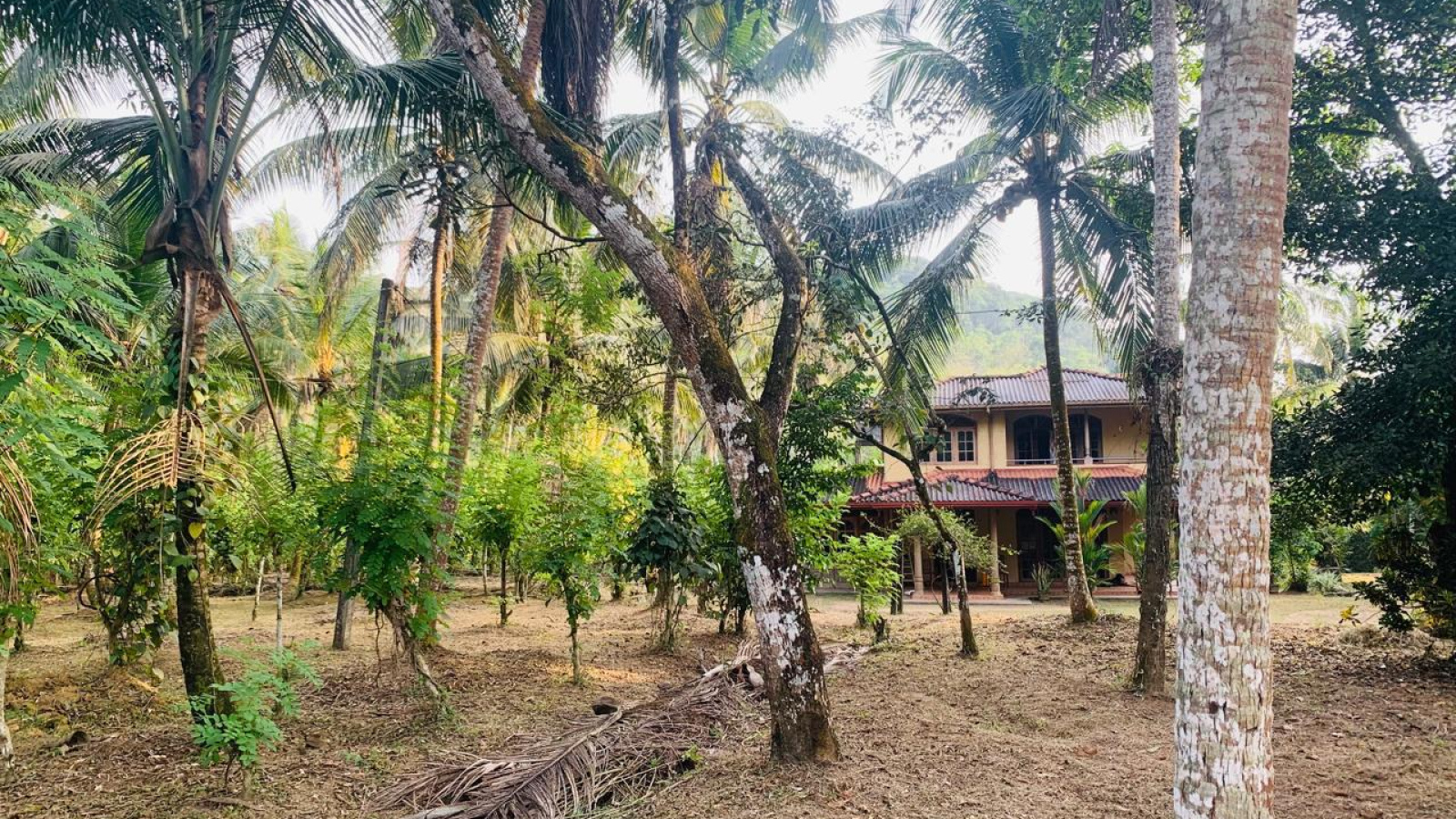 Colombo Road Dompe- Colombo main road, Dompe, Colombo 11680, ,Land,For sale,Dompe- Colombo main road,1177