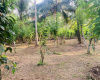 Colombo Road Dompe- Colombo main road, Dompe, Colombo 11680, ,Land,For sale,Dompe- Colombo main road,1177