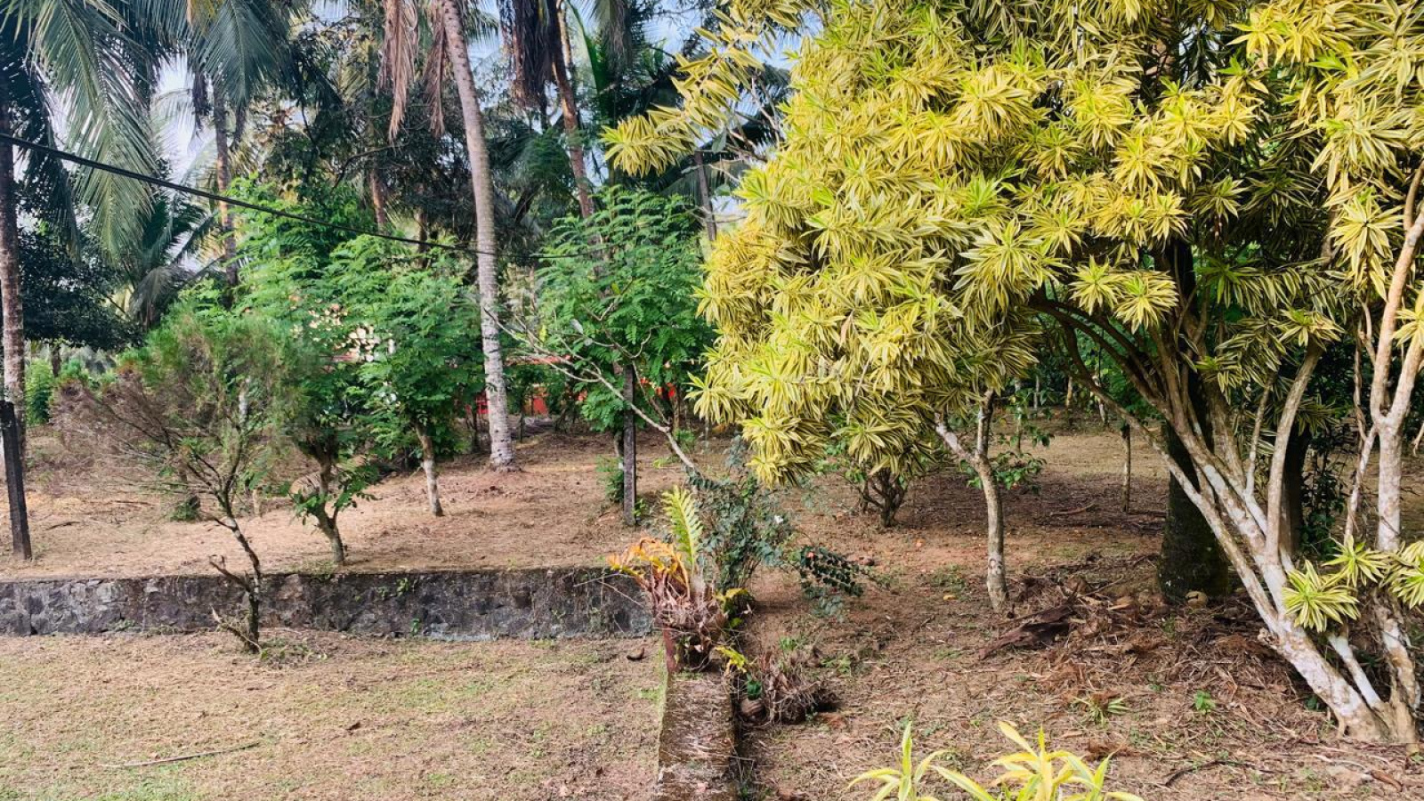 Colombo Road Dompe- Colombo main road, Dompe, Colombo 11680, ,Land,For sale,Dompe- Colombo main road,1177