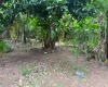 110/18 Alakeshwara road, Elul kotte, Ethul Kotte, Colombo 10100, ,Land,For sale,Alakeshwara road, Elul kotte,1183