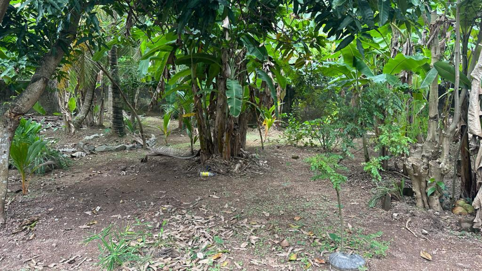 110/18 Alakeshwara road, Elul kotte, Ethul Kotte, Colombo 10100, ,Land,For sale,Alakeshwara road, Elul kotte,1183