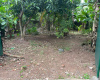 110/18 Alakeshwara road, Elul kotte, Ethul Kotte, Colombo 10100, ,Land,For sale,Alakeshwara road, Elul kotte,1183