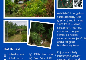 Doragamuwa, Kandy, Kandy 20816, ,Land,For sale,Doragamuwa,1184