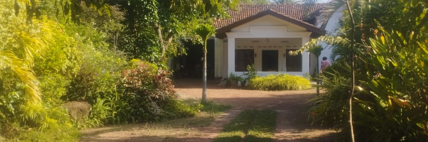 445, Makola South Mokola, Kiribathgoda, Colombo 11600, ,House,For Rent,445,Mokola,1186