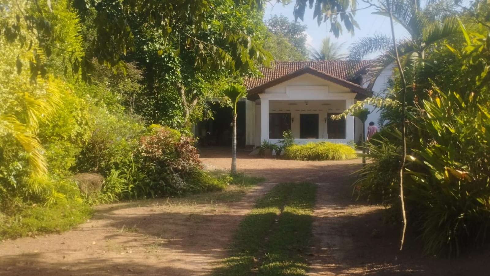 445, Makola South Mokola, Kiribathgoda, Colombo 11600, ,House,For Rent,445,Mokola,1186