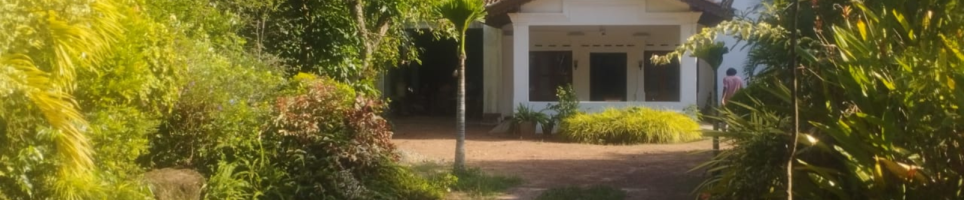 445, Makola South Mokola, Kiribathgoda, Colombo 11600, ,House,For Rent,445,Mokola,1186