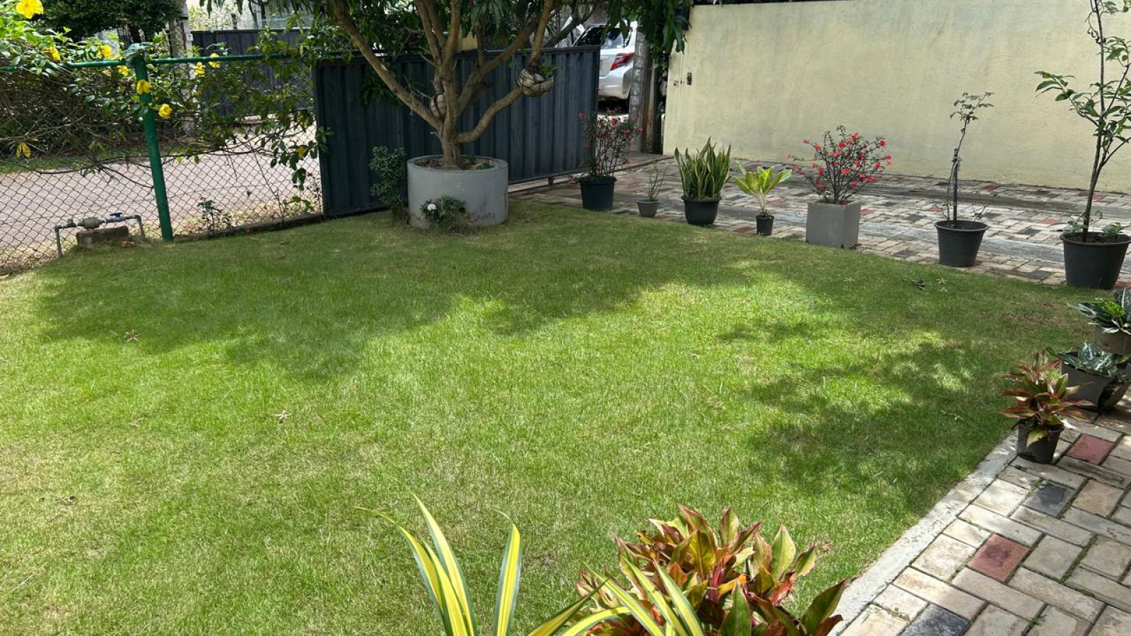 Digana, Digana, Kandy 20180, 0 , 0 ,0,House,For Rent,victoria range,Digana ,0,1187