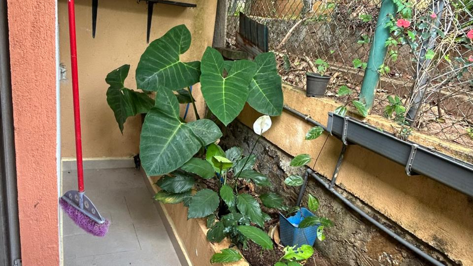 Digana, Digana, Kandy 20180, 0 , 0 ,0,House,For Rent,victoria range,Digana ,0,1187