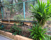 Digana, Digana, Kandy 20180, 0 , 0 ,0,House,For Rent,victoria range,Digana ,0,1187