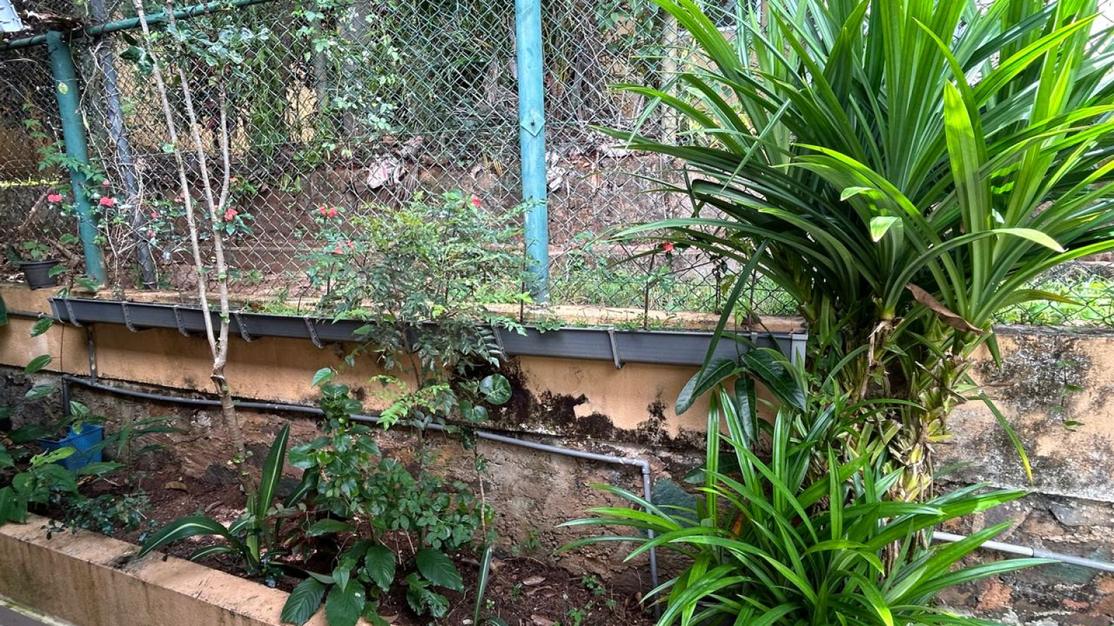 Digana, Digana, Kandy 20180, 0 , 0 ,0,House,For Rent,victoria range,Digana ,0,1187