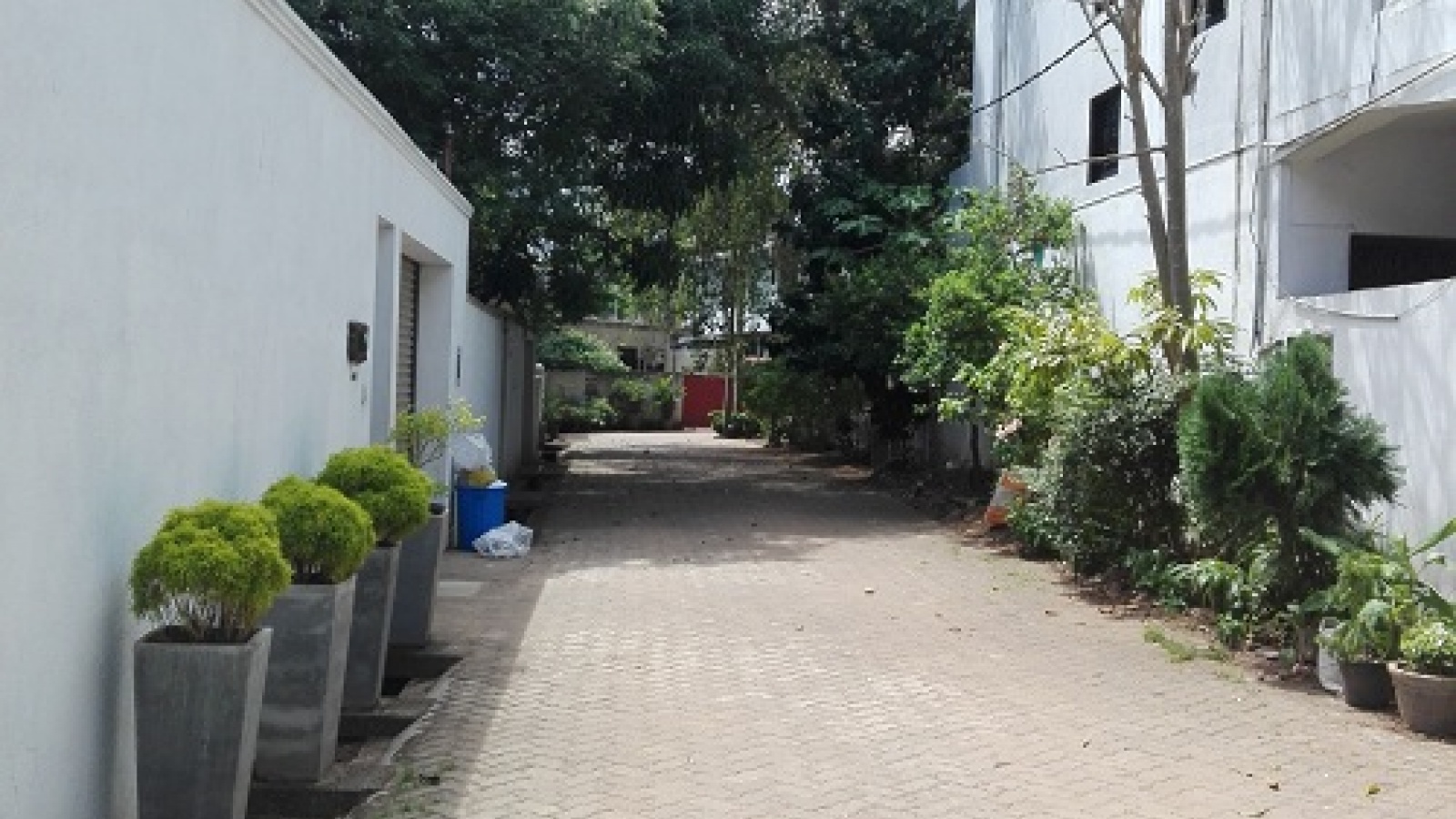 NEIGHBORHOOD VIEW