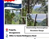 51 Doragamuwa Road, Polgolla, Kandy, ,Land,For sale,Doragamuwa Road,1093