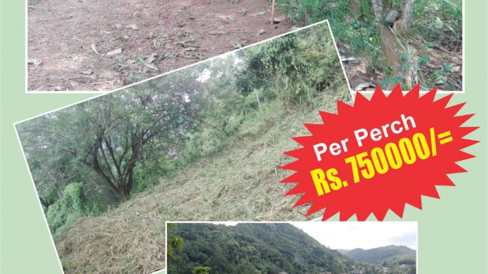 Upul Mawatha, Peradeniya, Kandy, ,Land,For sale,Upul Mawatha,1094